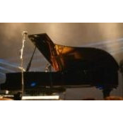 Rebekah Winckle's photo