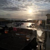 Nadia Wood's photo