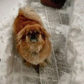 Rosemary Smith-Burton's photo