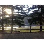 Lisa Benjamin's photo