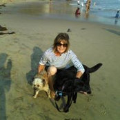 Pam Berger's photo