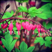 Katya's photo