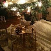 Angie Helber's photo