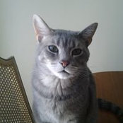 Vanessa Dz's photo