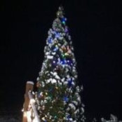 Christine Ryan-Miller's photo