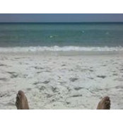 Mark Lewis's photo