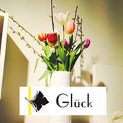 Glück Heidelbergs foto