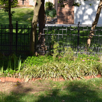 DIY Landscape - Woodland or Shade Gardening