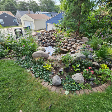 Pond Renovation