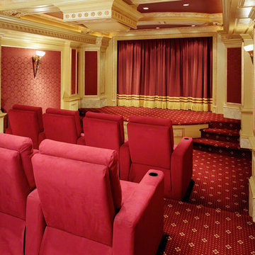 Screening Room With Camouflage Projector