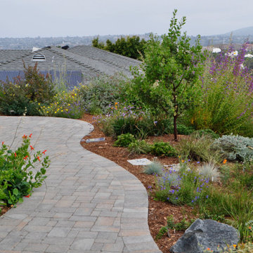 San Clemente Native Garden Design