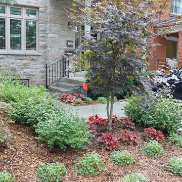 Bloor West Village Front Yard Makeover