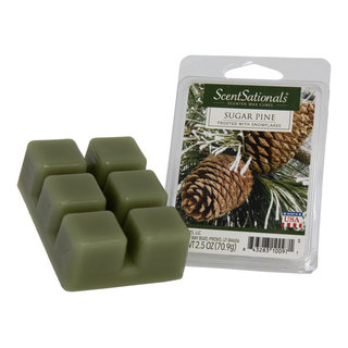Scentsationals Agave Lime 2.5 oz Scented Fragrant Wax Melts - 4 Pack