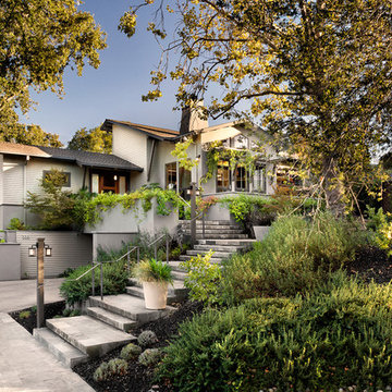 Transitional Landscape