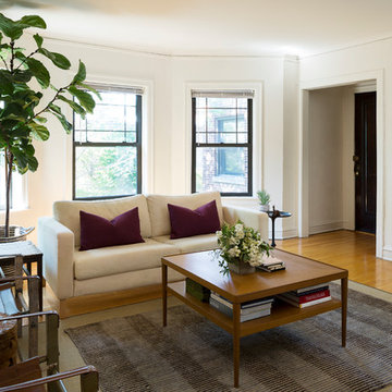 Chicago-Transitional-Living Room