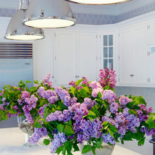 Floral Arrangement