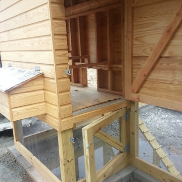 Extra Large Chicken Coop Combo
