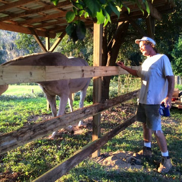 Run in shed for the horses