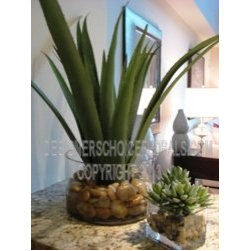 The New Greenery - Products