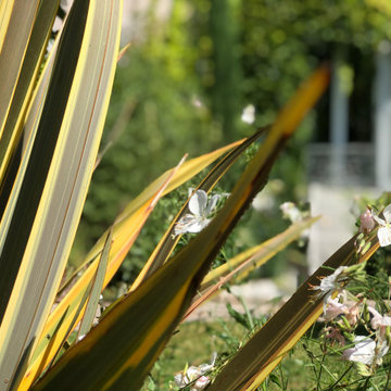 Aménagement paysager d'un jardin à St Maur des Fossés...