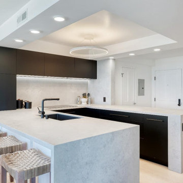 San Francisco Contemporary kitchen flat door panel