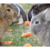 Stefanie Nargang's photo
