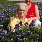 Donna Morehead's photo