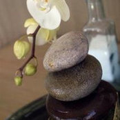 Debbie Harloff's photo