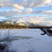 Meredith Boyer's photo