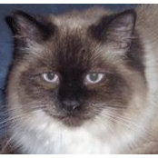 Kim Ferritto's photo