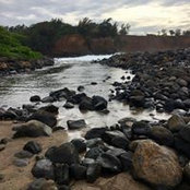 Marjorie Southworth's photo