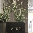 Verdi's profile photo
