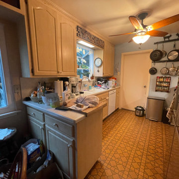 Kitchen Remodel 2024 Oakland/ white and light green