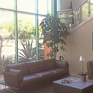Reception Area