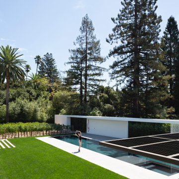 The Flying V - pool house