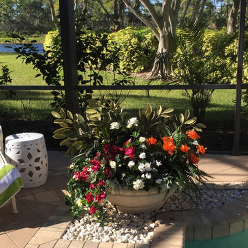 Pool Planter Makeover
