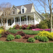 Front yard