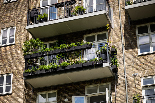 Moderne Terrasse by Altan Alferne