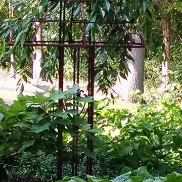 Formal Cottage Garden in MadisonHere the elegance of a weeping cherry and rustic
