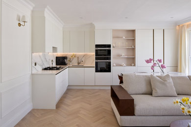 This is an example of a modern kitchen in Other.