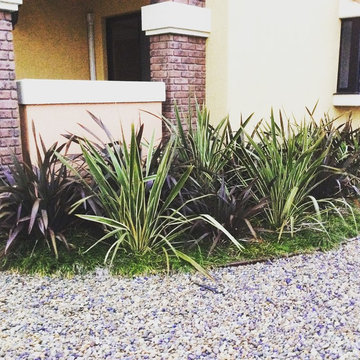 ドライロックガーデン