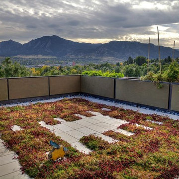 Flat Irons Contemporary
