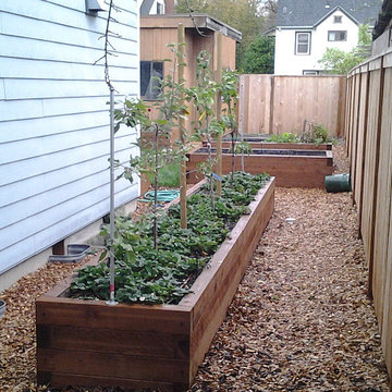 Raised Beds on a Budget