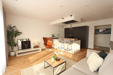 Example of a trendy living room design in Other