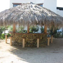 Baja palapa