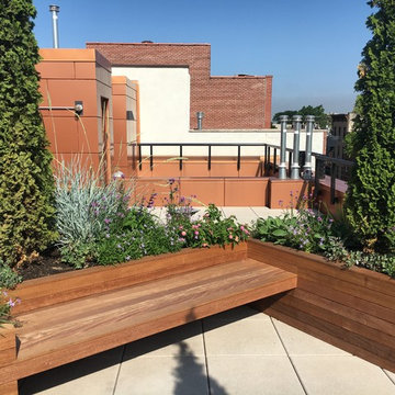 Rooftop garden 5