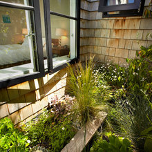 roof garden