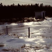 Suzanne Doucet's photo