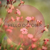 Indira Rivera Rivera's photo