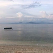 Hermione Coleman's photo